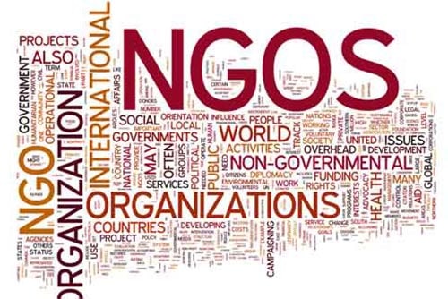 NGO Management